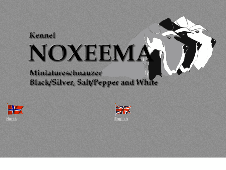 www.noxeema.com