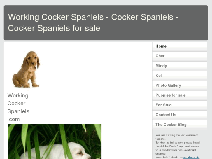 www.workingcockerspaniels.com