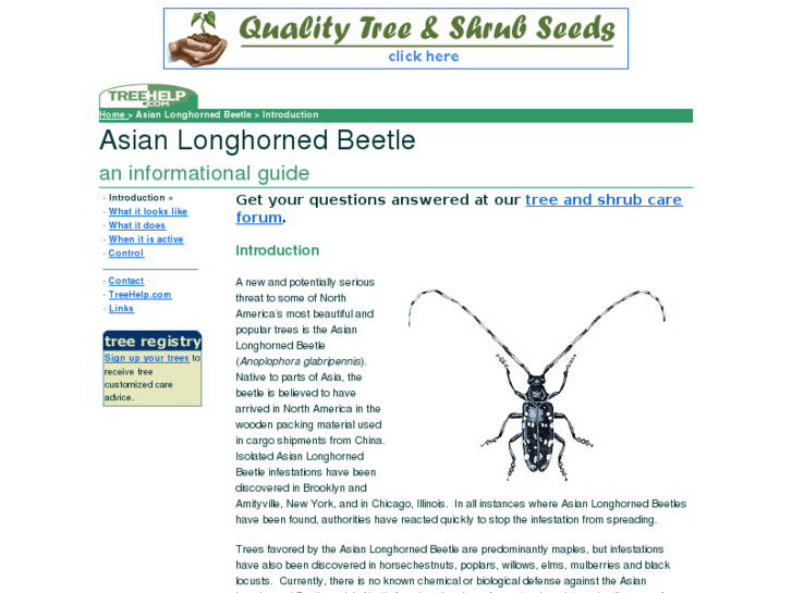 www.asian-longhorned-beetle.com