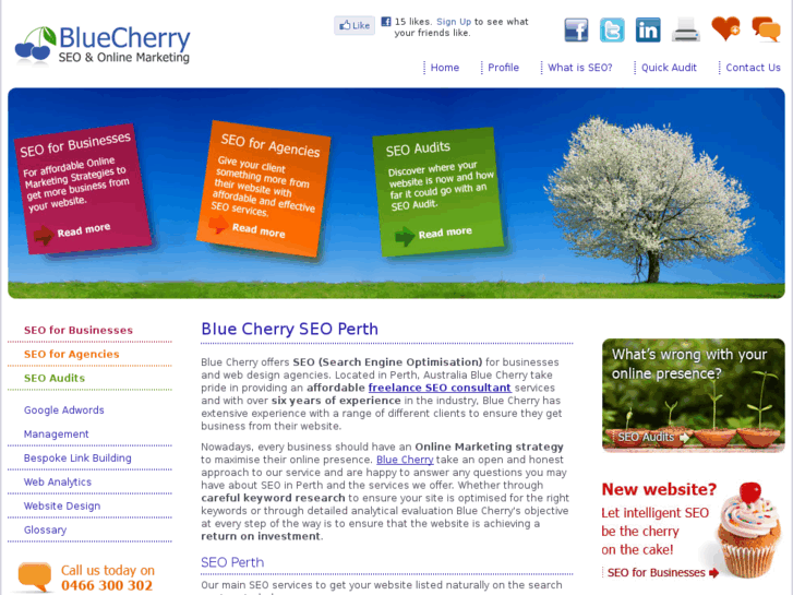 www.bluecherry.com.au