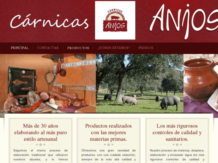 www.carnicasanjos.com