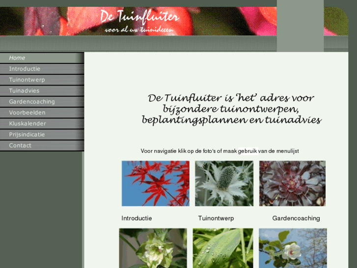 www.detuinfluiter.com