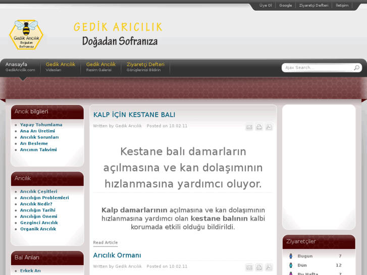 www.gedikaricilik.com