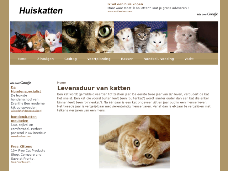 www.huiskatten.be