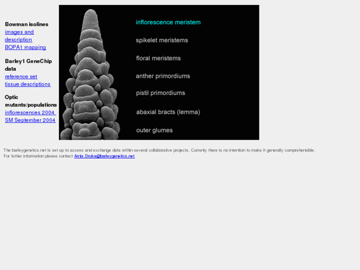 www.barleygenetics.net