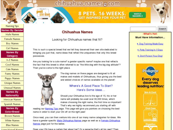 www.chihuahua-names.com