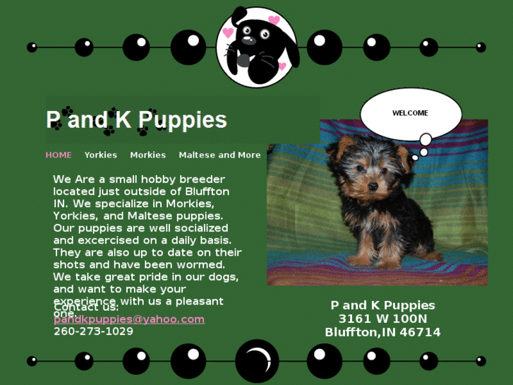 www.pandkpuppies.com