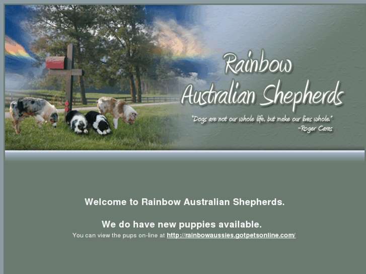 www.rainbowaussies.com