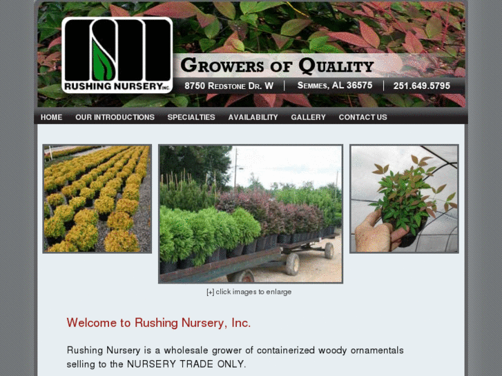 www.rushingnursery.com