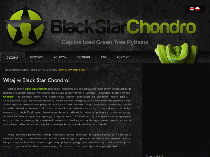 www.blackstarchondro.com