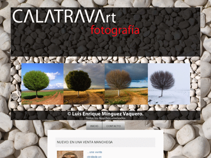 www.calatravart.com