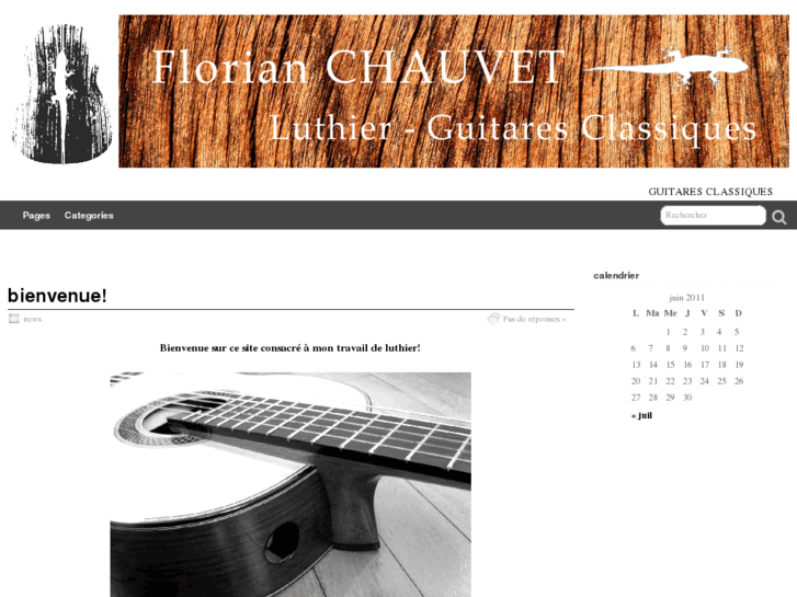 www.chauvetguitars.com