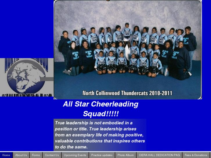 www.cheerlikeus.com