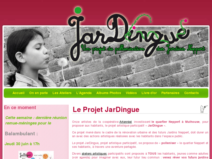 www.jardingue.net