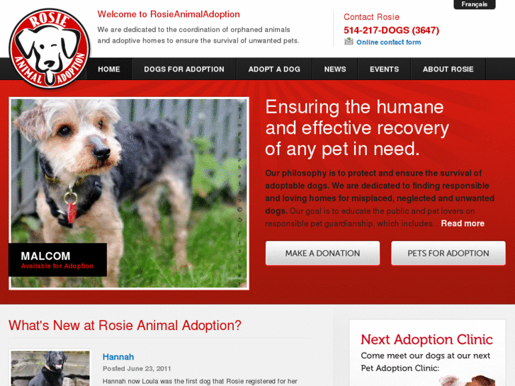 www.rosieanimaladoption.ca