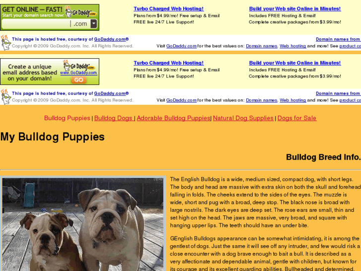 www.thebulldogpuppies.com