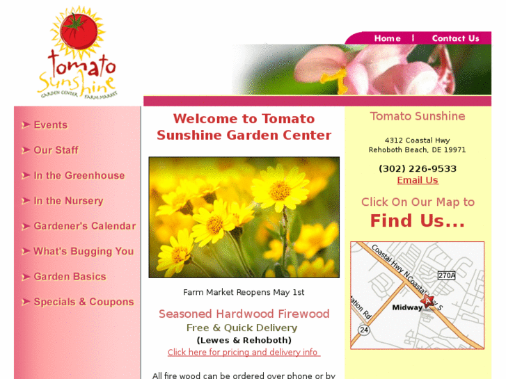 www.tomatosunshine.com