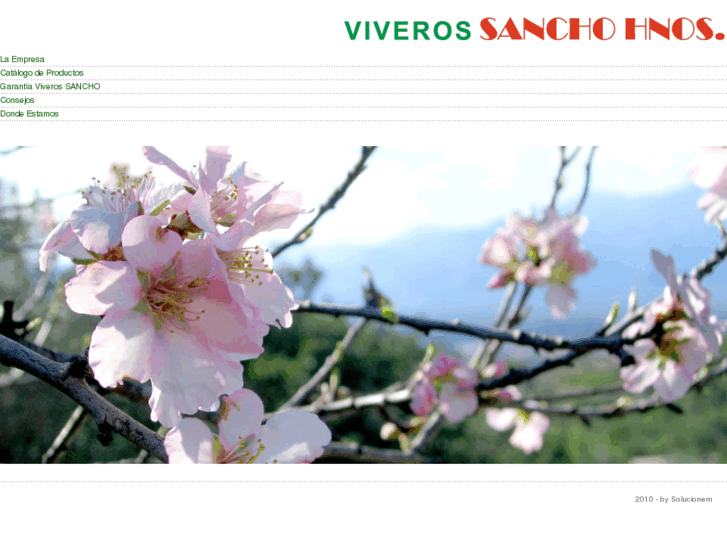 www.viverossancho.com