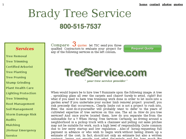 www.bradytreeservice.com