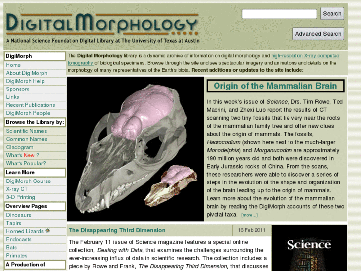 www.digimorph.org