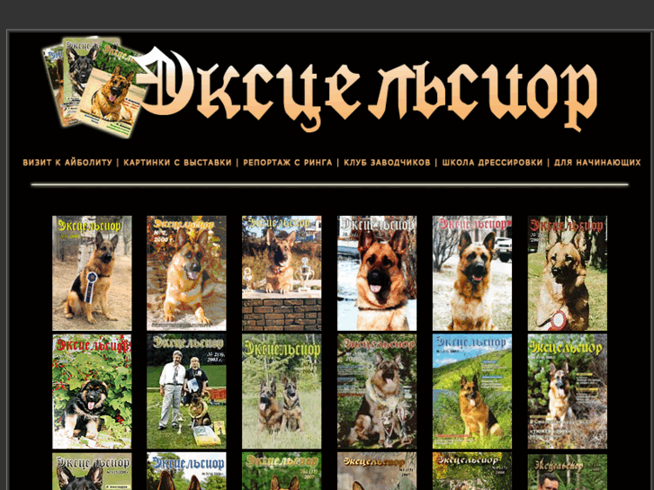 www.excelsidor.info