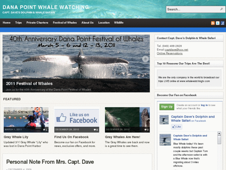 www.danapointwhalewatching.com