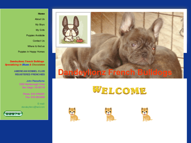 www.dandeylionzfrenchbulldogs.com