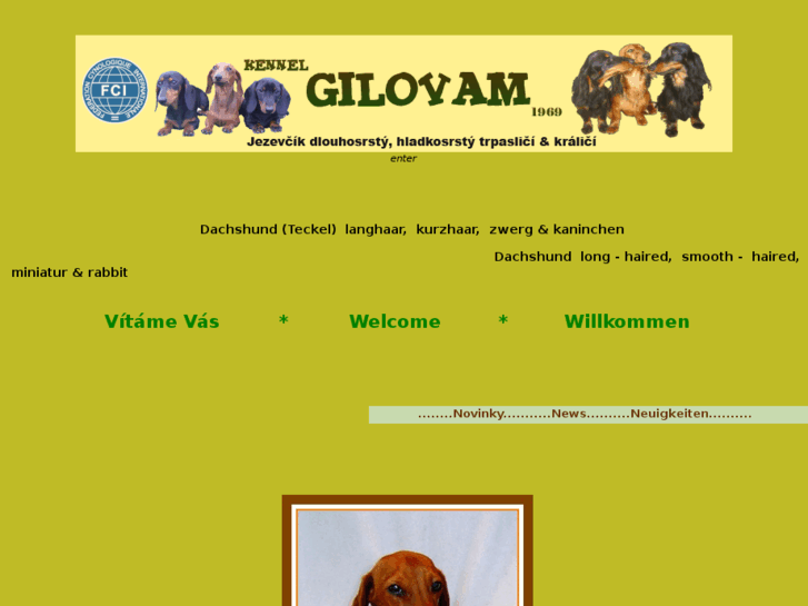 www.gilovam.com