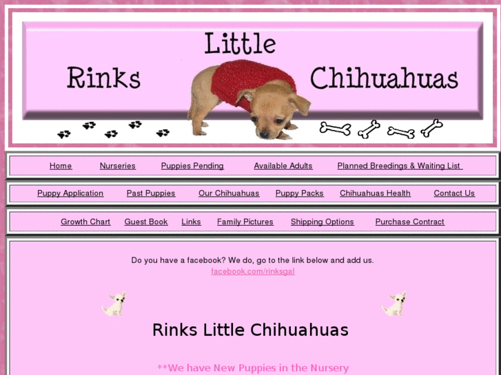 www.rinkschihuahuas.com