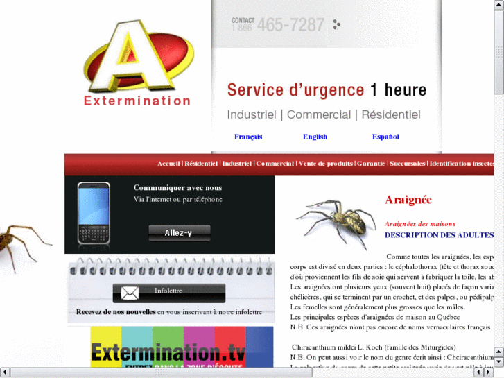 www.spider-extermination.com