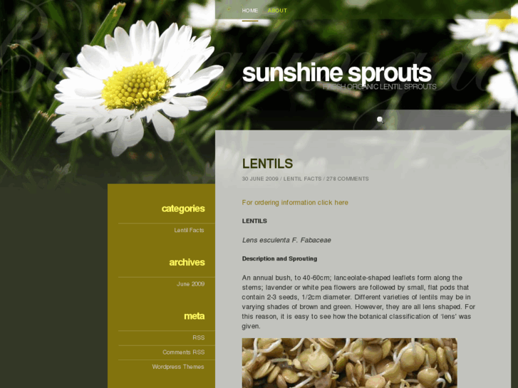 www.sunshine.info