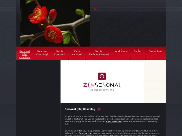 www.zensesonal.com