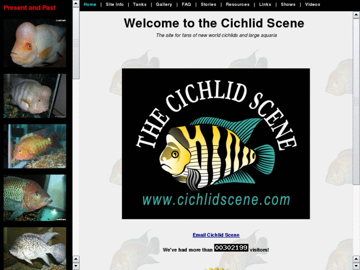 www.cichlidscene.com