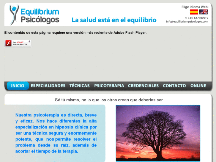 www.equilibriumpsicologos.com