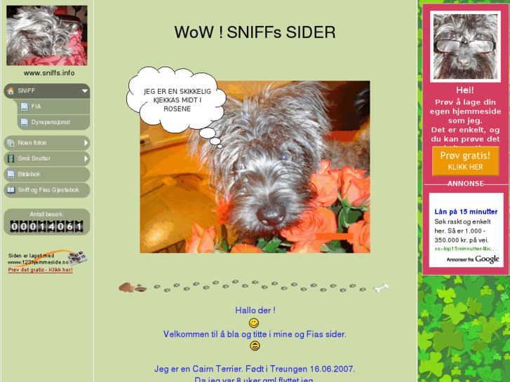 www.sniffs.info