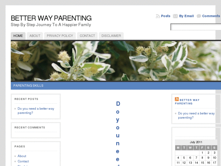 www.betterwayparenting.com