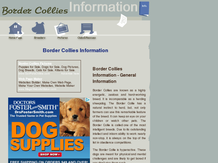 www.border-collies-information.com