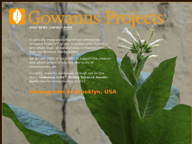 www.gowanusprojects.com