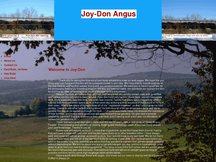 www.joydonangus.com