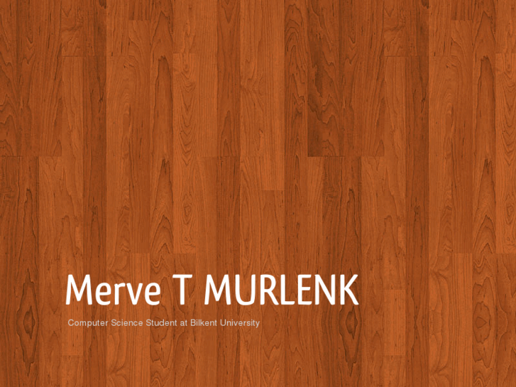 www.mervetimurlenk.com