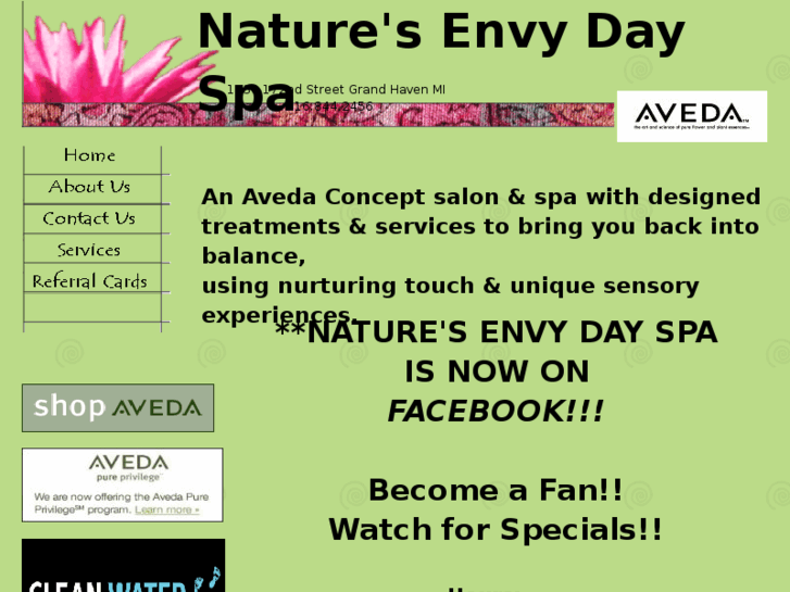 www.naturesenvydayspa.com