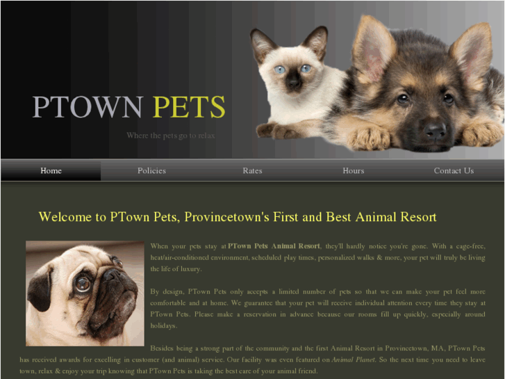 www.ptownpets.com