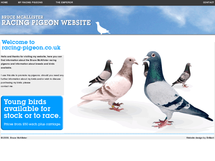 www.racing-pigeon.co.uk