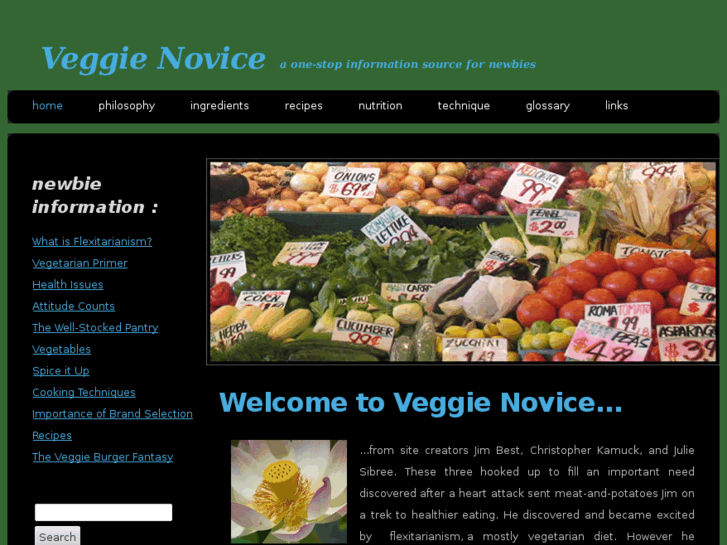 www.veggienovice.com