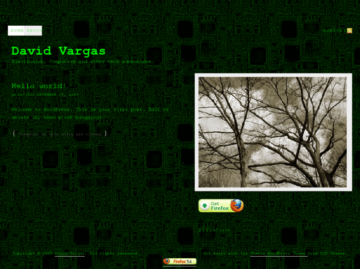 www.davidvargas.net