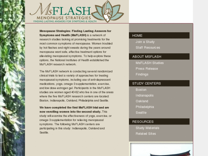 www.msflash.org