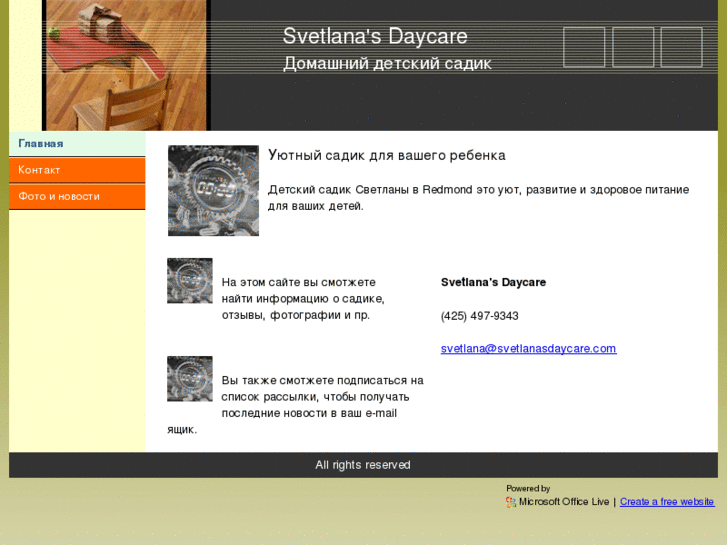 www.svetlanasdaycare.com