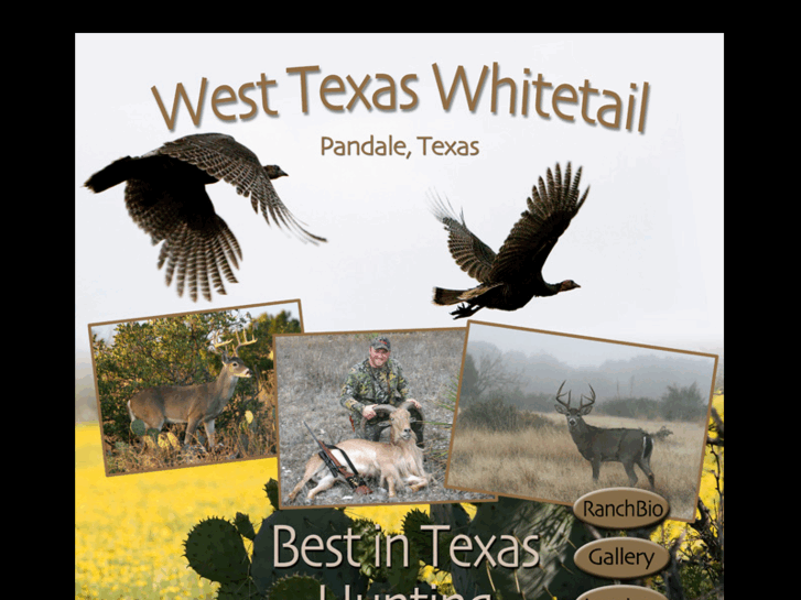 www.westtexaswhitetail.com