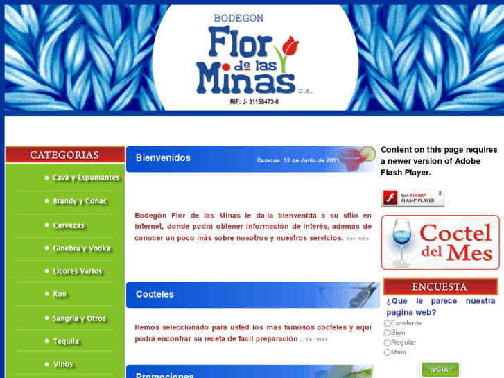 www.bodegonflordelasminas.com