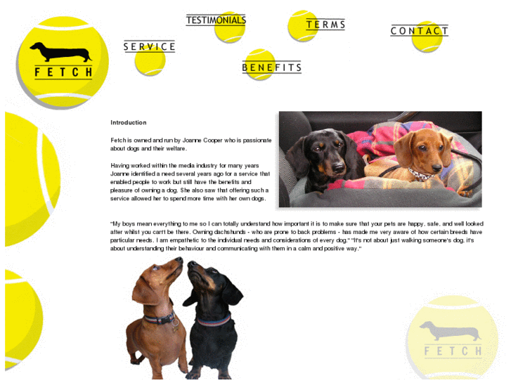 www.fetchdogcare.com